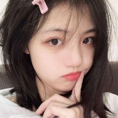 认识狗狗